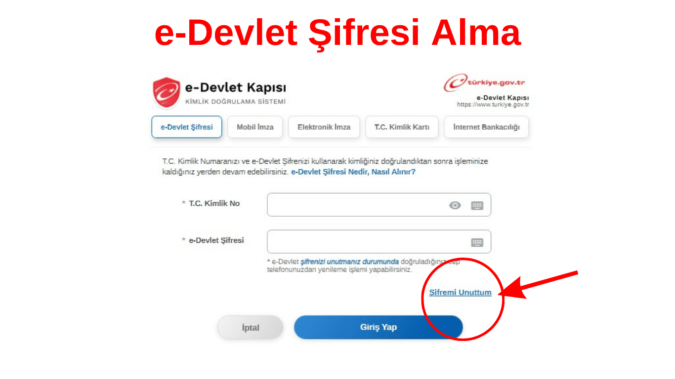 E devlet Şifresi Alma