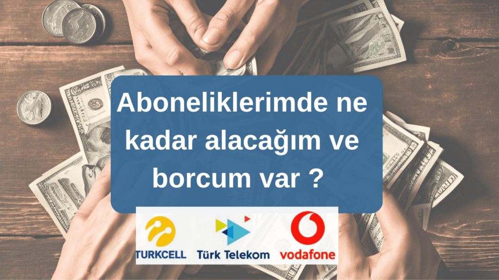 e devlet alacak sorgulama Nasıl YApılır