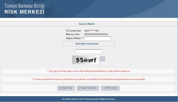 e devlet risk raporu