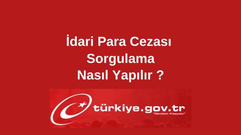 e-Devlet Üzerinden İdari Para Cezası Sorgulama