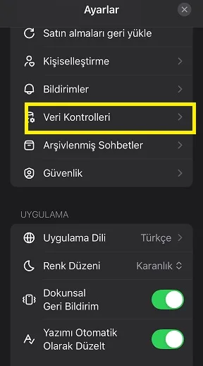 Chatgpt veri kontrolleri