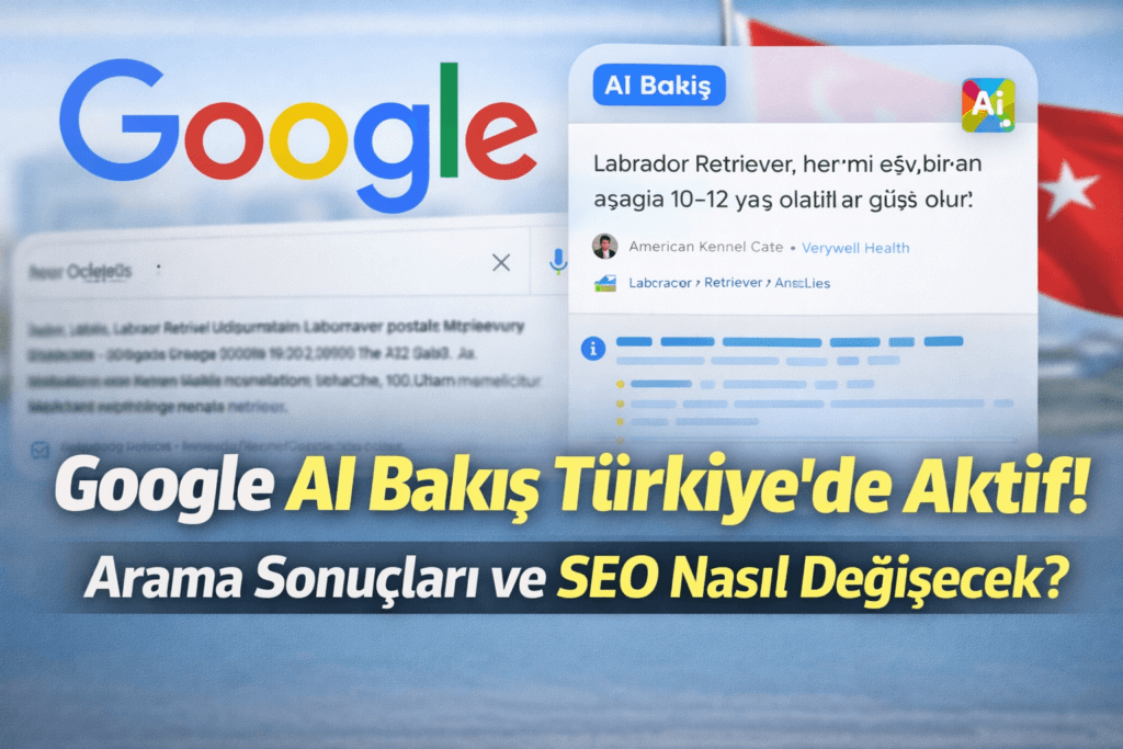 Google AI Bakış (AI Overviews) Özelliği
