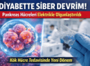 Diyabetin Sonu mu Geliyor? Laboratuvarda Üretilen ‘Siber’ Pankreas ile Tanışın!