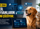 Yapay Zekâ Evcil Hayvanların Dilini Çözüyor: 118 Dolarlık Akıllı Tasma PettiChat Ön Siparişte