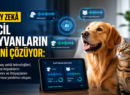 Yapay Zekâ Evcil Hayvanların Dilini Çözüyor: 118 Dolarlık Akıllı Tasma PettiChat Ön Siparişte