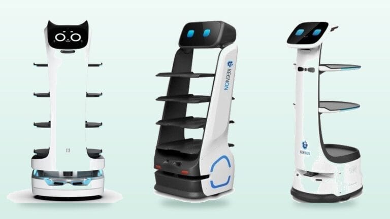Service robots used in European cafés and restaurants