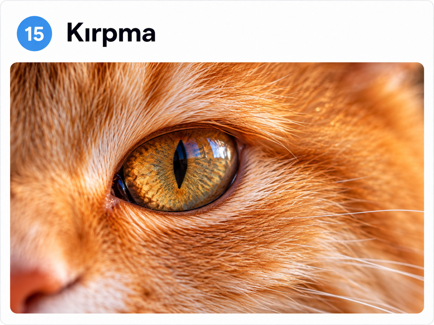 Kırpma (Tight Cropping) tekniğine örnek yapay zekâ görseli