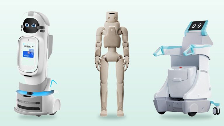 Care and companion robots for elderly care
