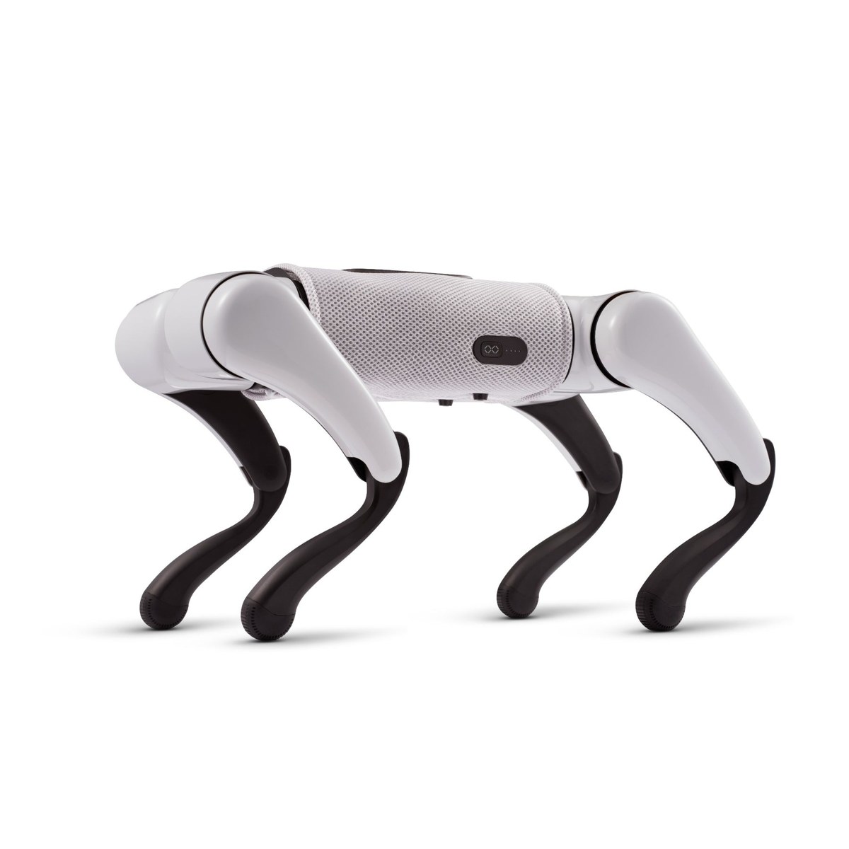 FX Navi embodied AI quadruped robot
