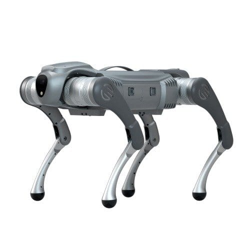 Galileo C1 quadruped robot dog
